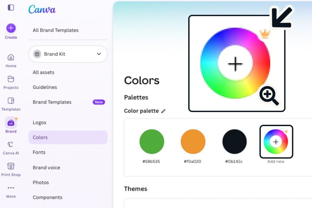 adobe express vs canva — Canva's free brand kit capped at three colors